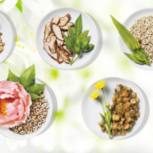 Nguyên Liệu Mỹ Phẩm Đông y